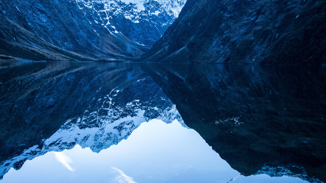 What is the Swiss Water Decaf Process?