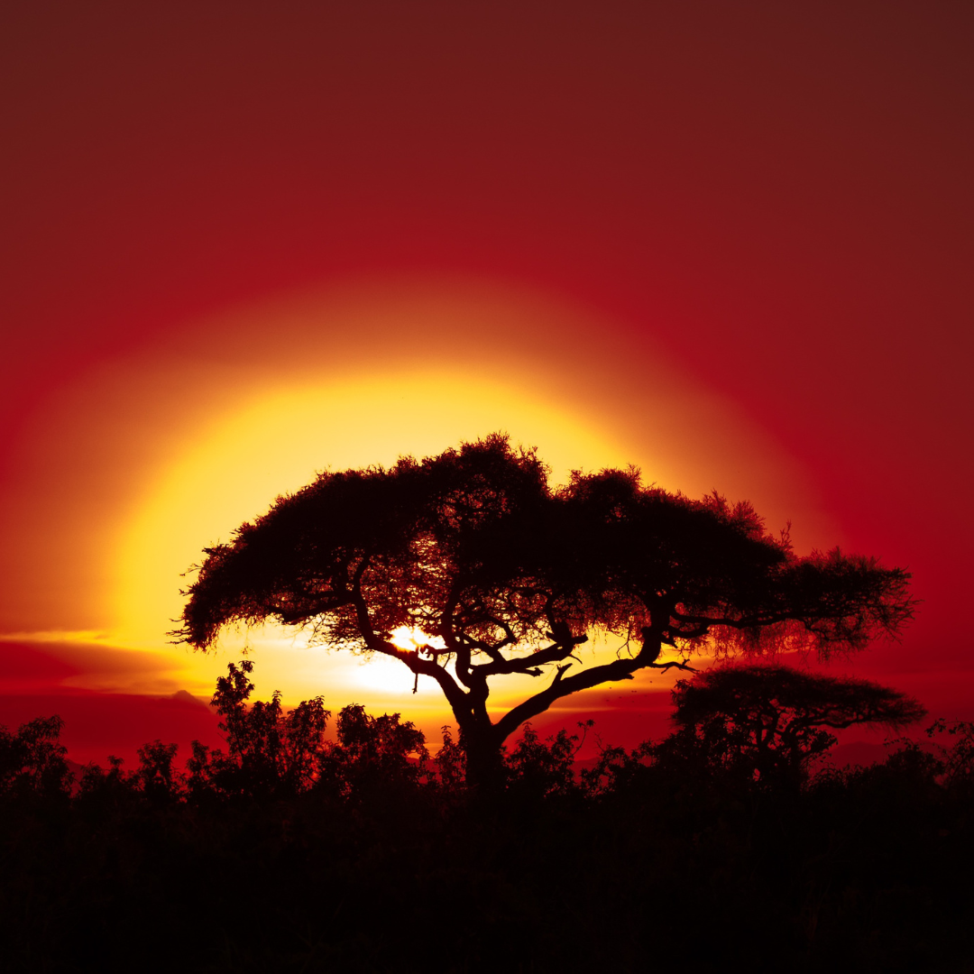 East Africa