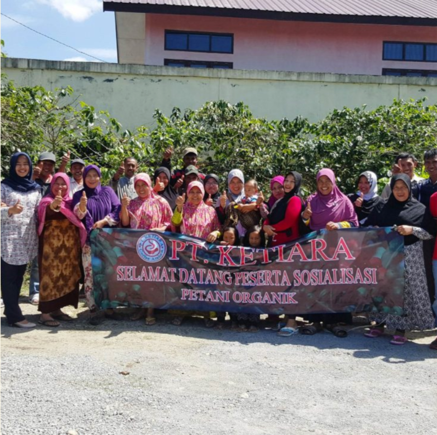 Limited Release: Sumatra