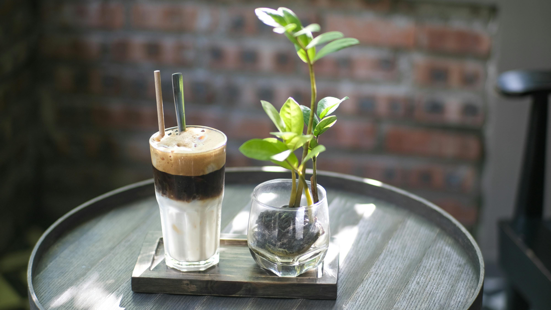 How to Make Vietnamese-Style Coffee with Sweetened Condensed Milk