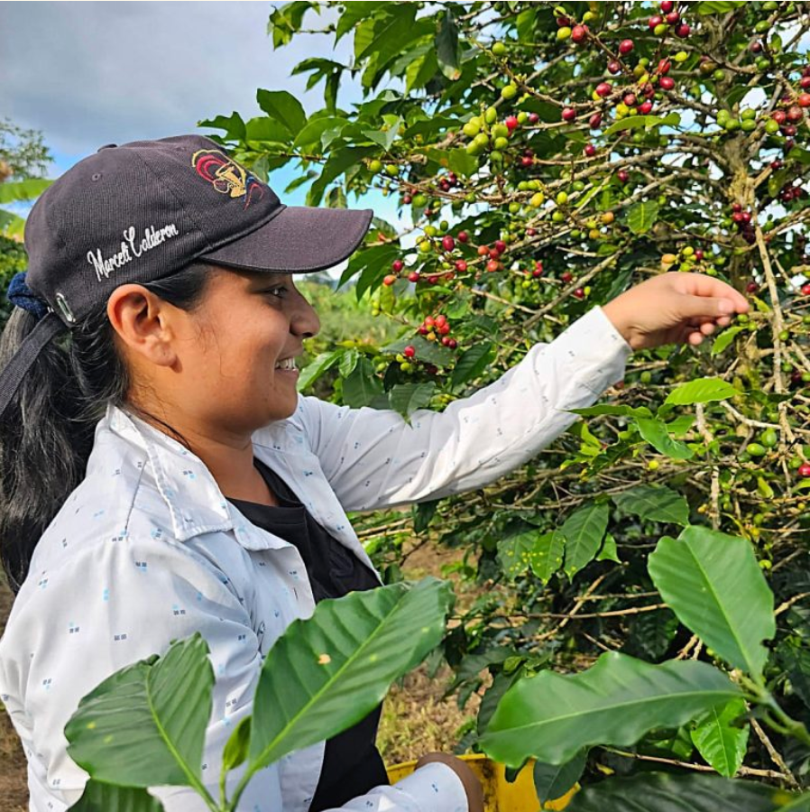 Limited Release: Colombia Huila